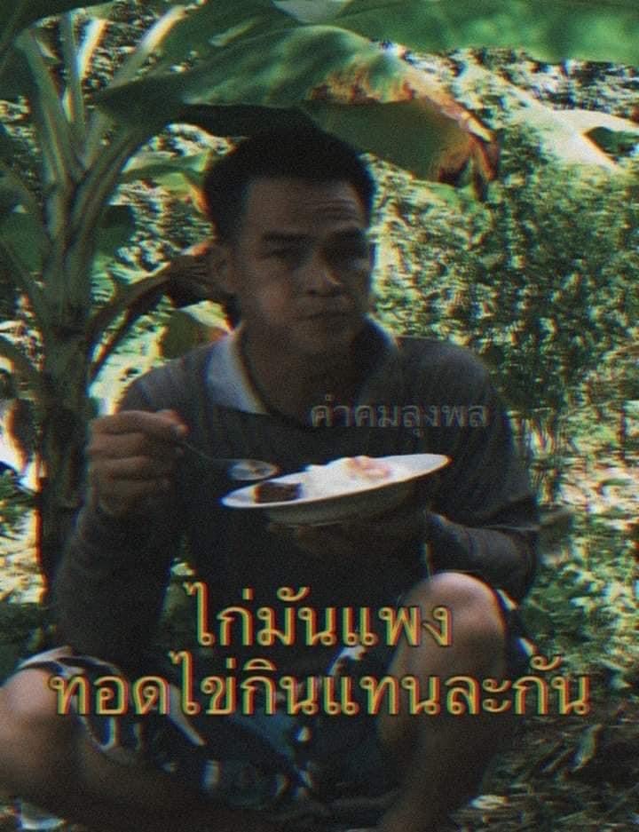 ลุงพล ไก่มันแพง ทอดไข่กินแทนละกัน.JPG