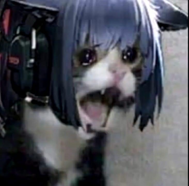 Arknights Jessica Jessicat screaming.JPG