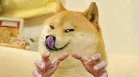 Doge Suspicious Hand Grabbing.JPG