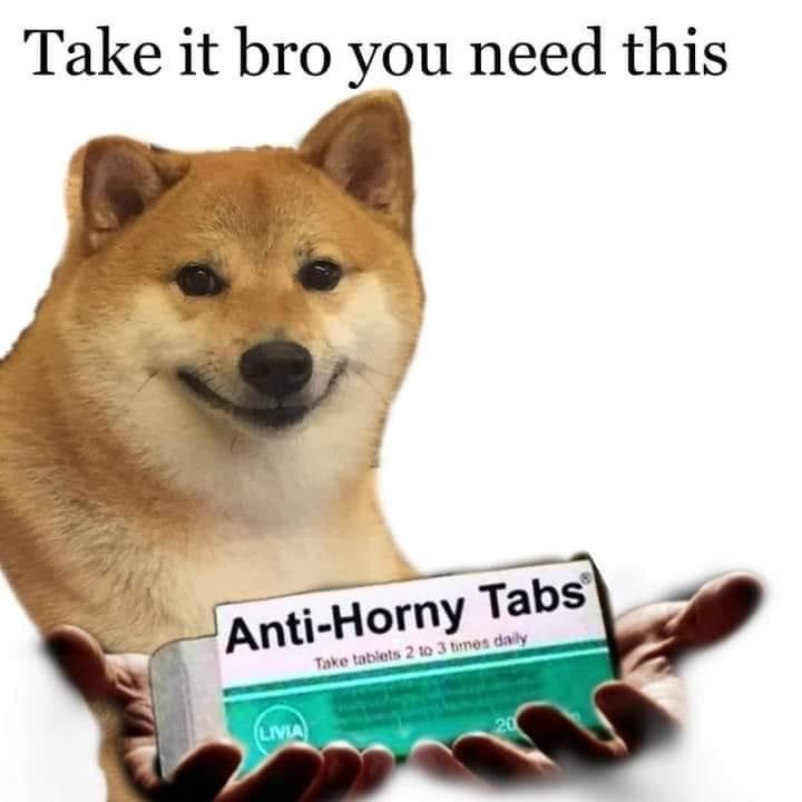 Doge anti horny tabs take it bro you need this.JPG