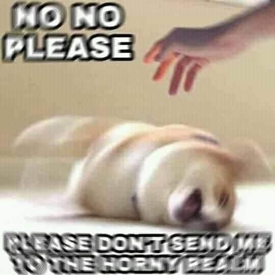 Doge nono please don't send me to the horny realm.JPG