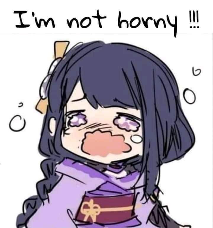 Genshin Impact Raiden Ei I'm not horny.JPG