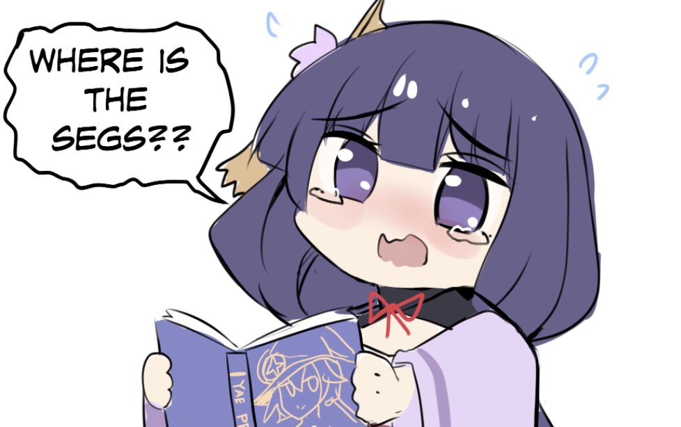 Genshin Impact Raiden Ei where is the segs.JPG