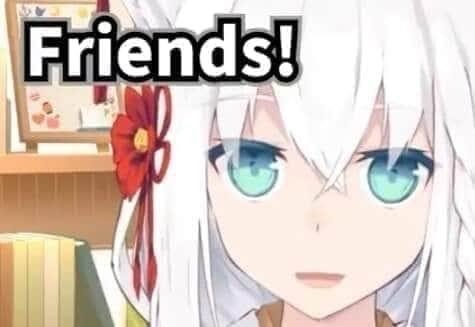 Hololive Fubuki Friends!.JPG