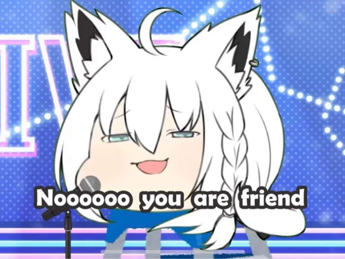 Hololive Fubuki No you are friend.JPG
