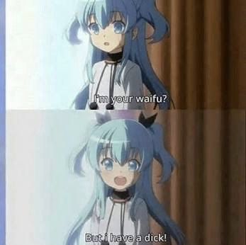 I'm your waifu but I have a dick.jpg