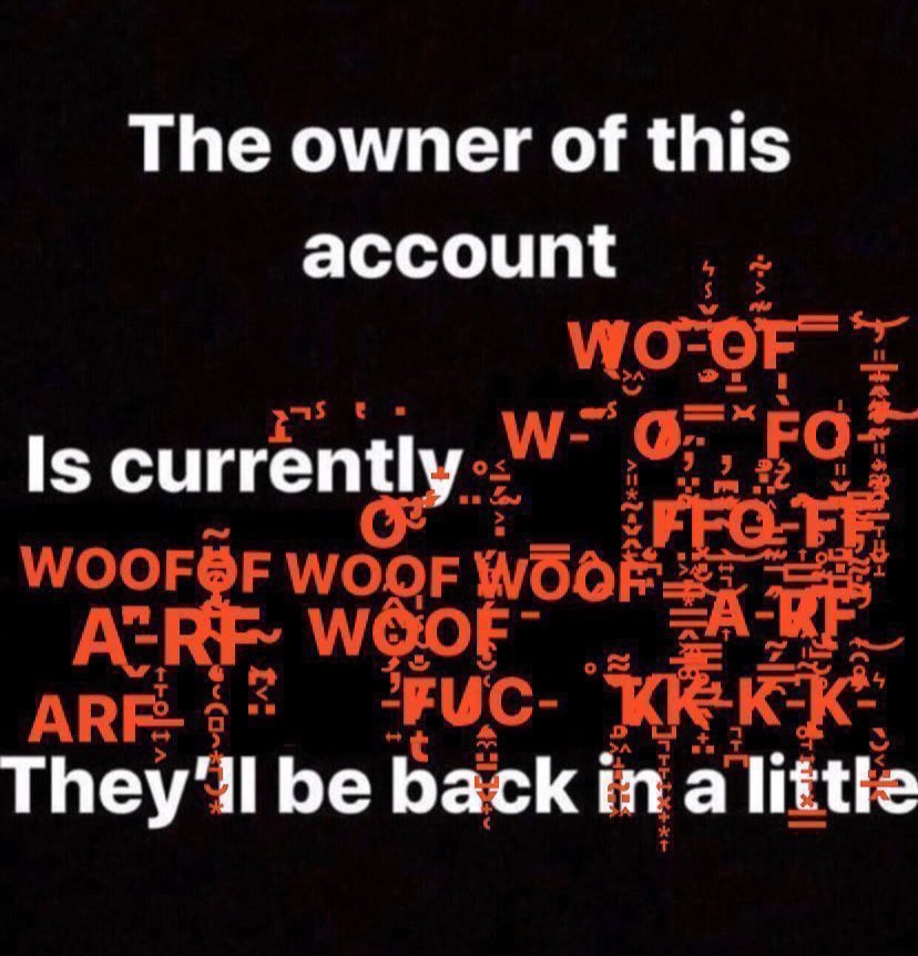 The owner of this account is currently woof woof bark bark they'll be back in a little.JPG