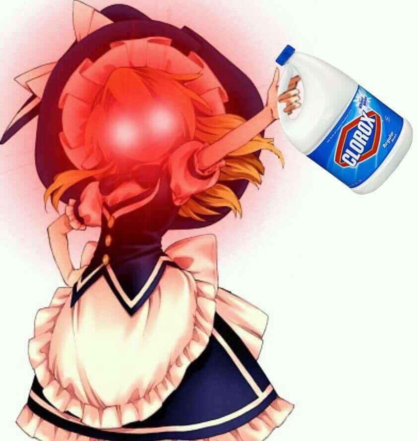 Touhou Marisa triggered Clorox.JPG
