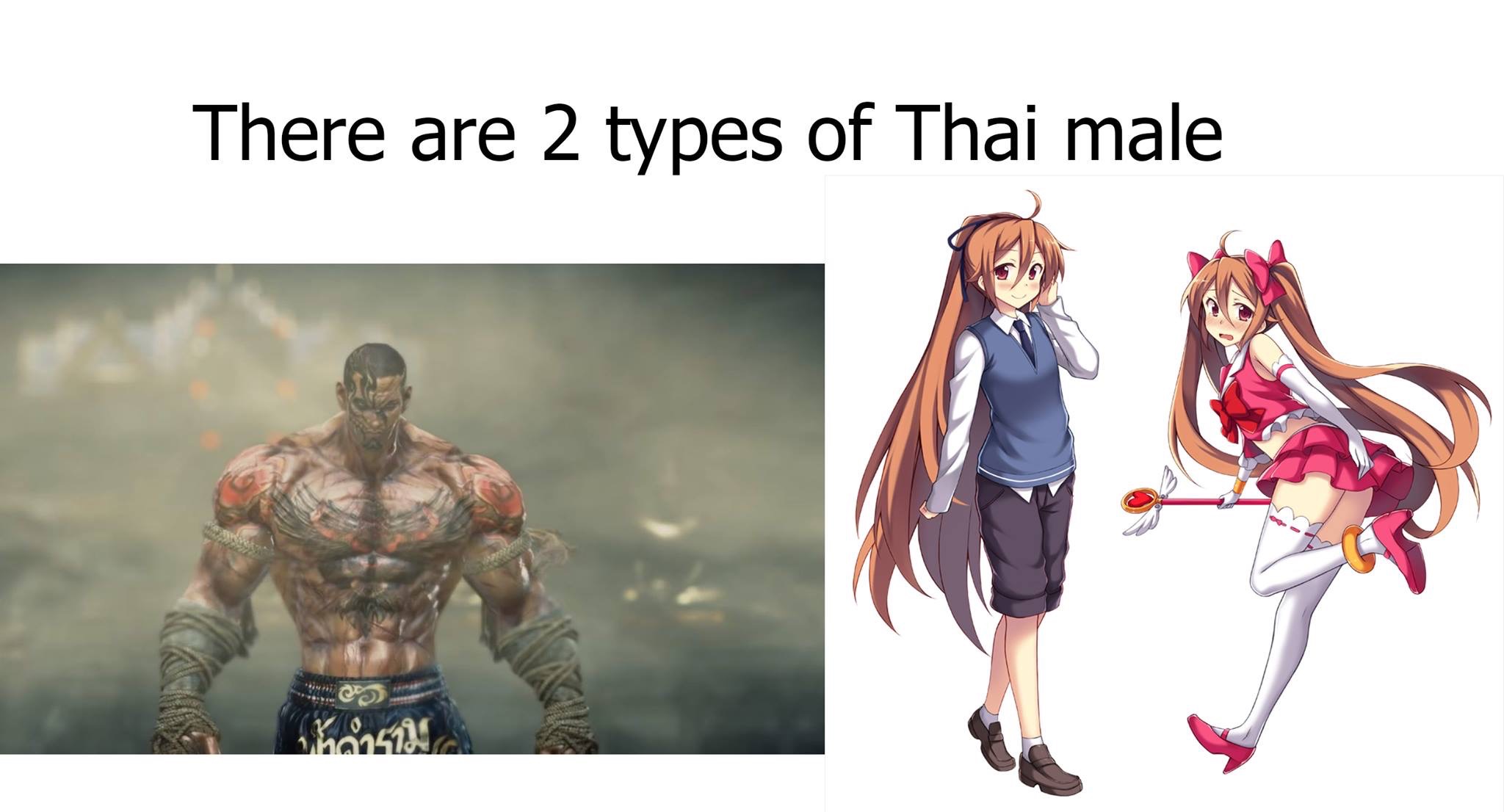 Trap There are 2 types of Thai male.JPG